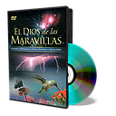 God of Wonders DVD
