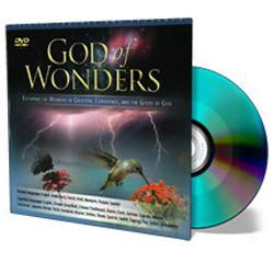God of Wonders Quicksleeve