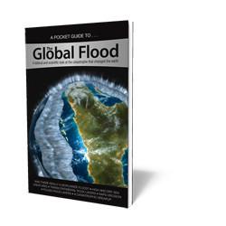 Global Flood - pocket guide