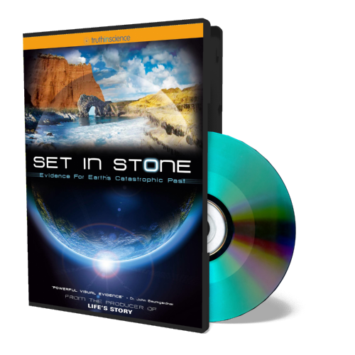 Set in Stone DVD