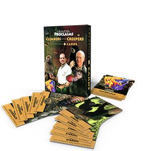Creation Cards
