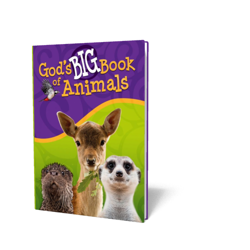 God's Big Book of Animals