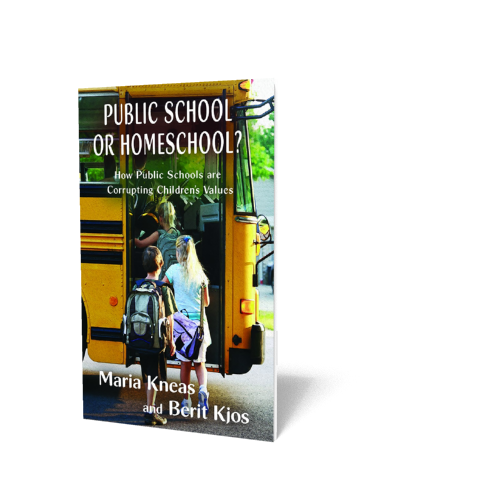 Public School or Homeschool?