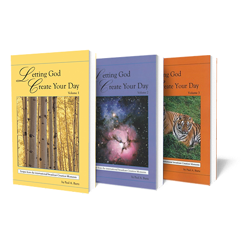 Letting God Create Your Day 3-Pack